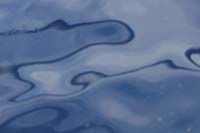 T-Bohn-2004-04_0077-PI-Cab