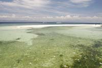 T-Bohn-2004-04_0323-PI-Cab