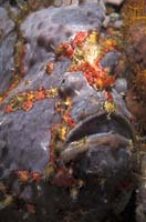 T-Bohn-D000B-0118-A-PI