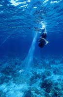 T-Bohn-D000G-0109-A-PI-Bohol