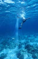 T-Bohn-D000G-0110-A-PI-Bohol