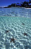 T-Bohn-D000G-0115-A-PI-Bohol