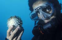 T-Bohn-D000G-0123-A-PI-Anilao