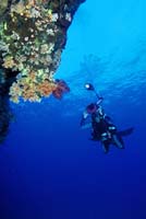 T-Bohn-D002G-0008-PI-Tubb